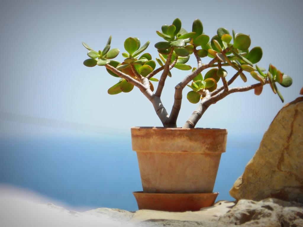 Appartamento Don Nino Lido di Noto Kültér fotó